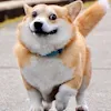 ํ ํ
