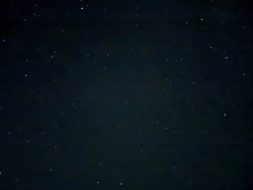 0490f719b5856cf120b5c6b011f11a394c77d10dc7ce8ea6df45