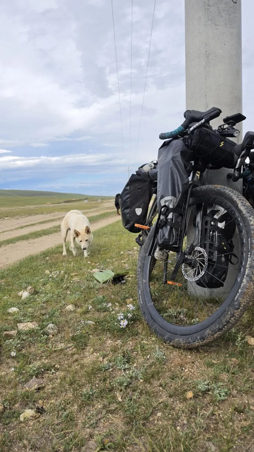 viewimage.php?id=2ea4d32ae0&no=24b0d769e1d32ca73fe785fa1bd6253181cc839ddd597aa6642ca0749f12fdcf7cd2cacccd50504c00ab2f2622dd2e6422637e850db783870504e36ba03652927e