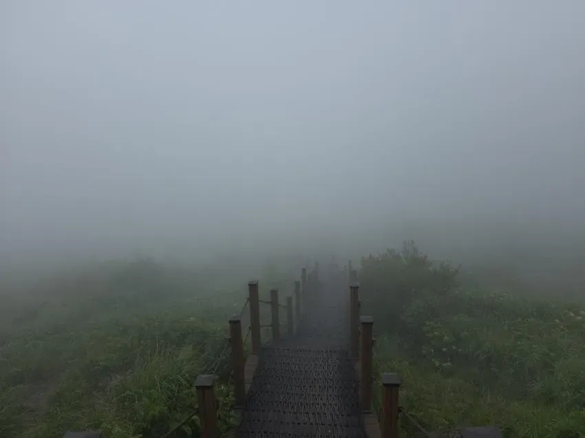 7fed8270b5846af751ee87e04285747378bd3c219e7cefe8ce2c4d934349fe5c
