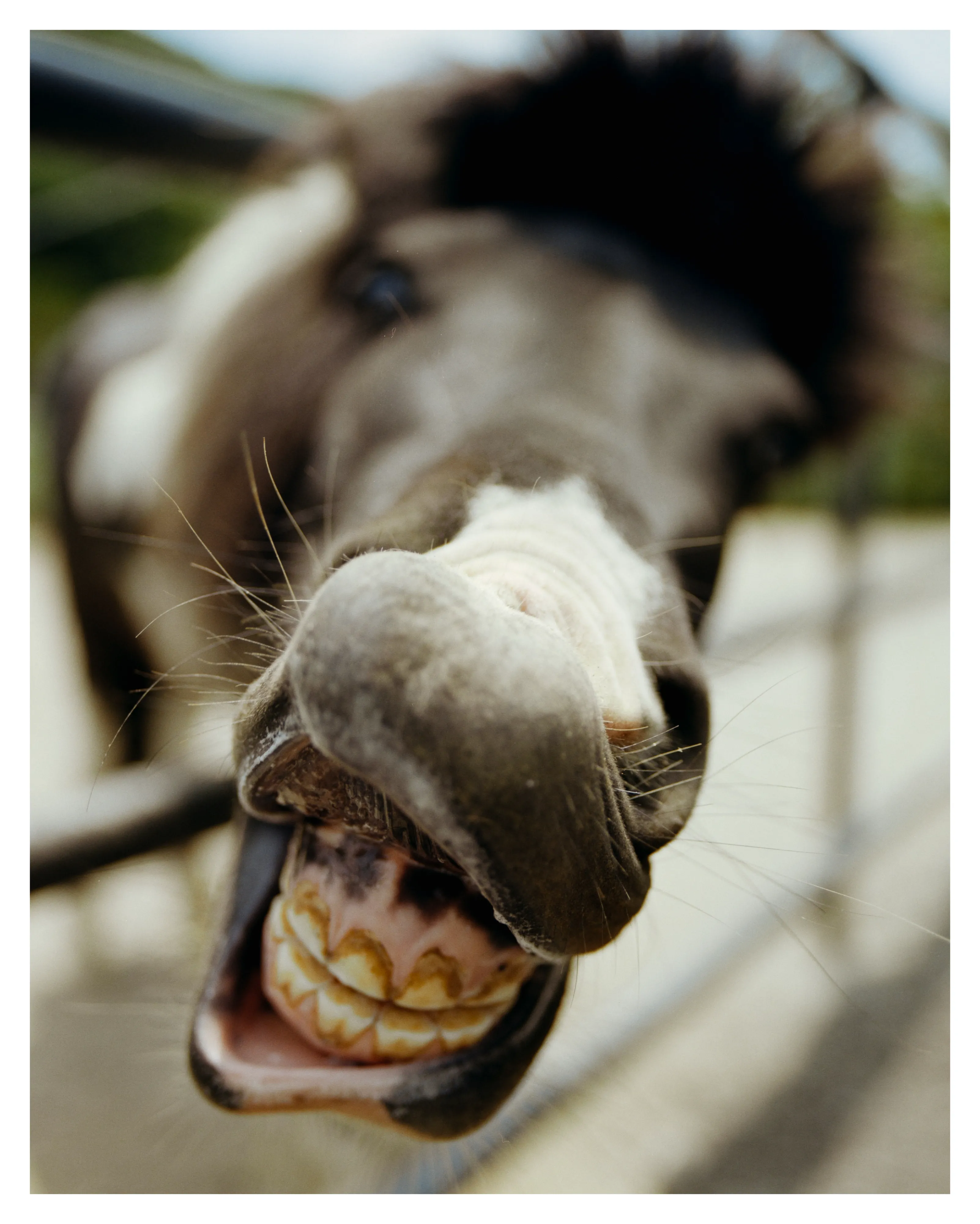 7cea8875bc8660f13fee87e2459f333838bb3047dfeaec6db656610bedeedd