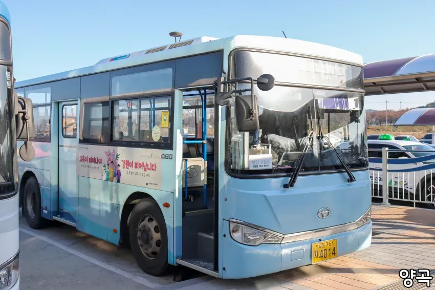0490f719b58061f220afd8b236ef203e8f06be0d3a7e50f8f12f