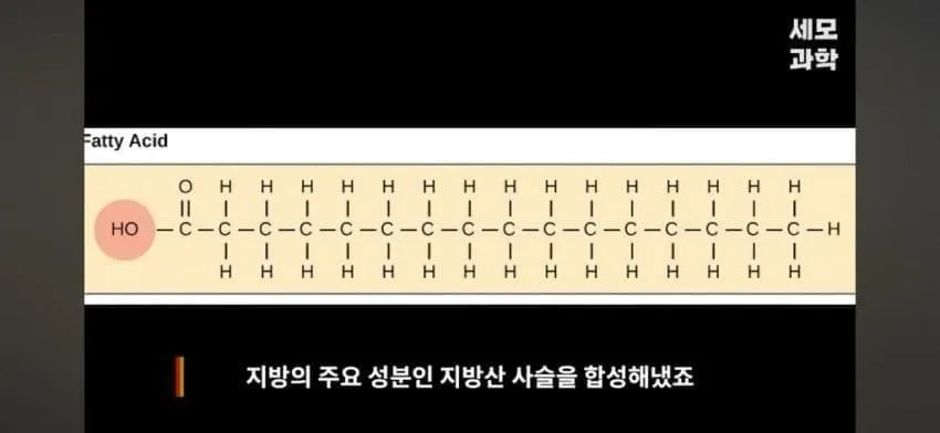 0eed8871c1861bf02399f597449c70680c025e17d38bd1c3a05dab16f4e6db4395215880ffc2d22d9bf41afb68bfdecbd59769