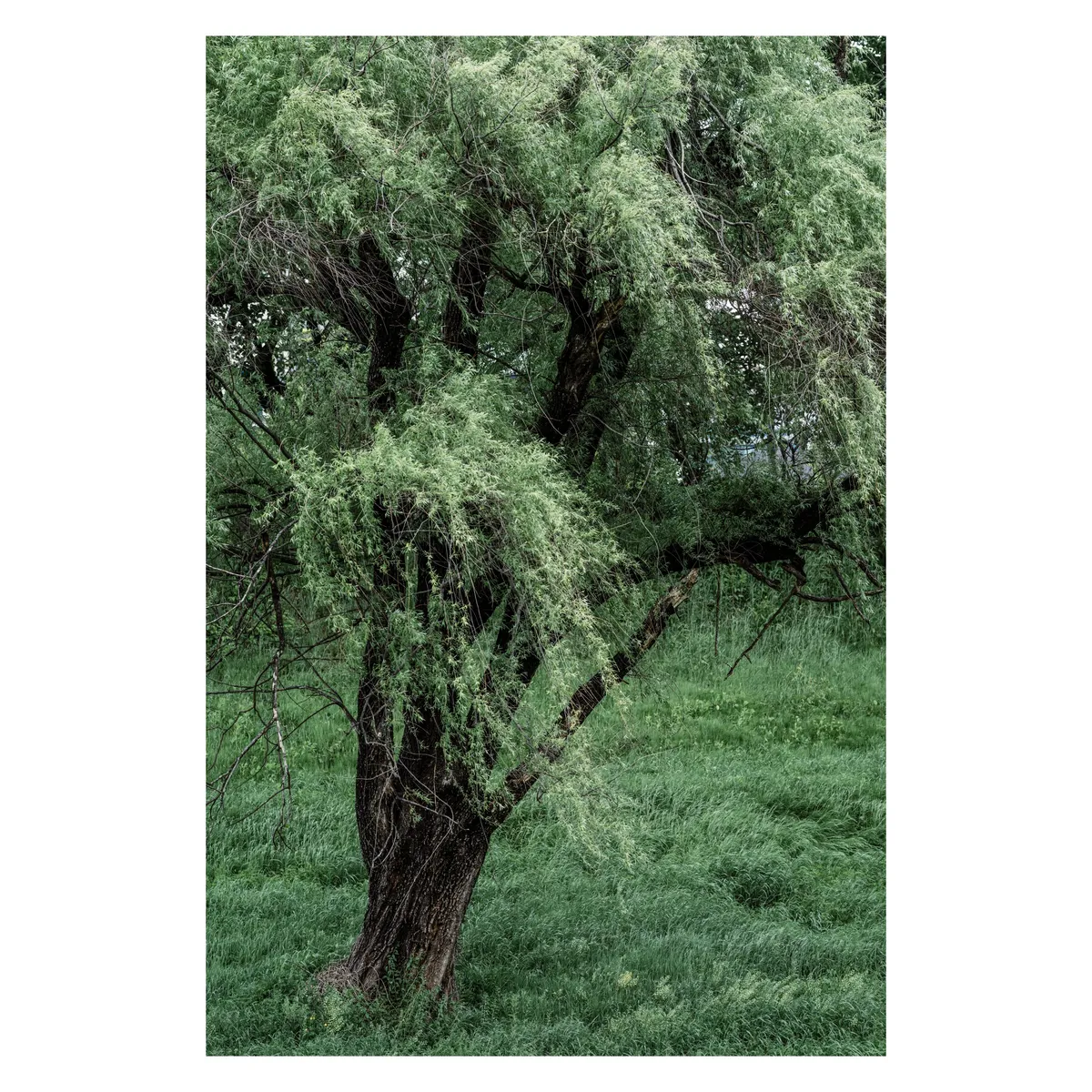 098ef376b0876bf120b5c6b236ef203ea50400bf43e3c5ce9d