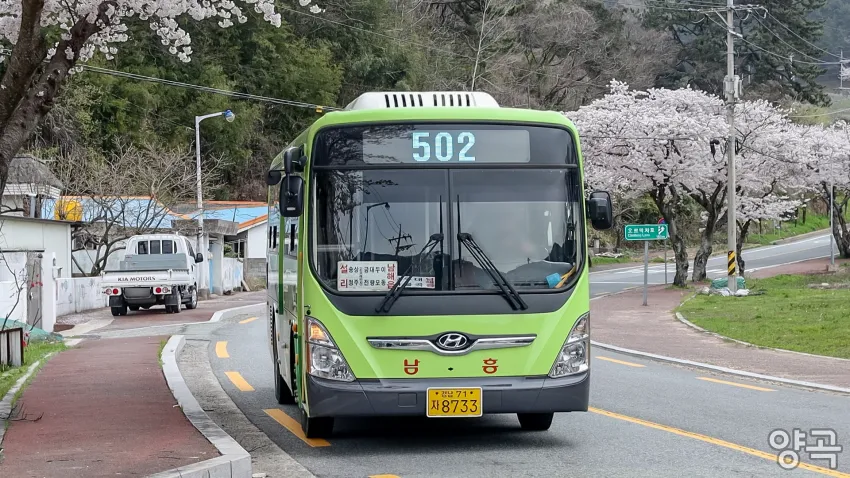 008bf919b5806dfe20afd8b236ef203e87febfcbdfcc8a265d