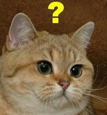 24ec8371b4866cf73beb87ec58db343af96341411a44f5b1f9ce00
