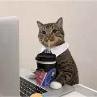 23 23