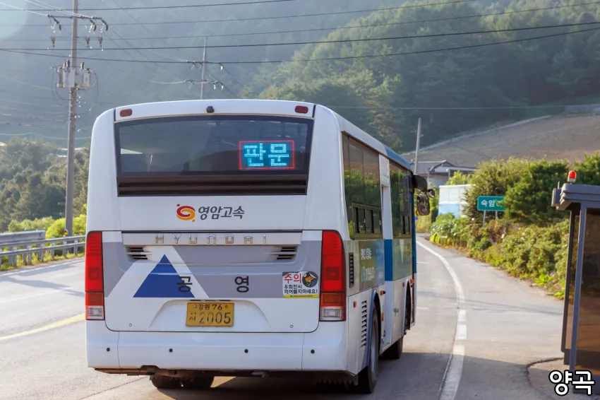 0490f719b5816af620afd8b236ef203e896afd7290826bbdf82c