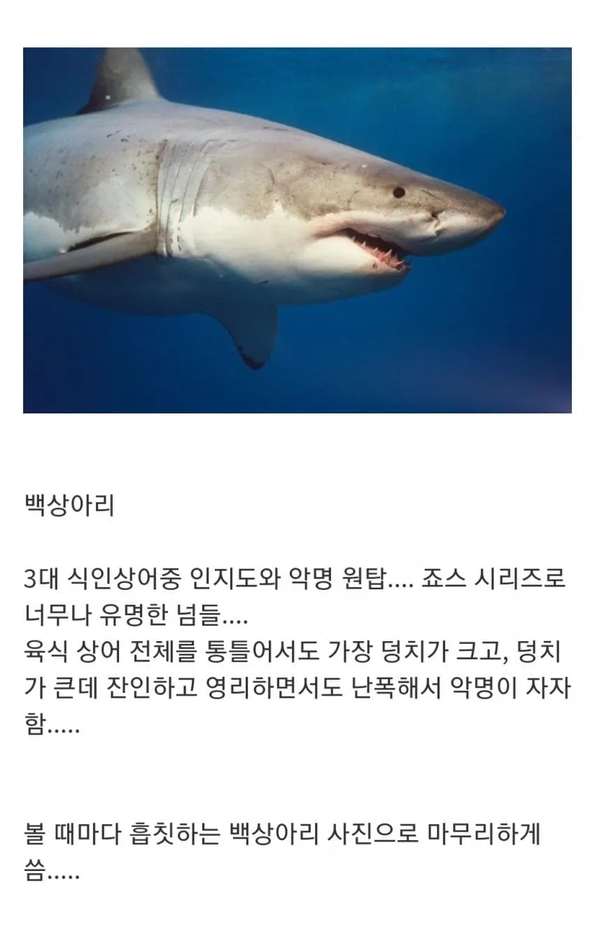 28b8d577e6d33bf73bbd85b346d5776dd1a57357b62bc9cf184809132778c7bbbad41a8f6a024f02095ca27813cac0ce96dd73fecb598484