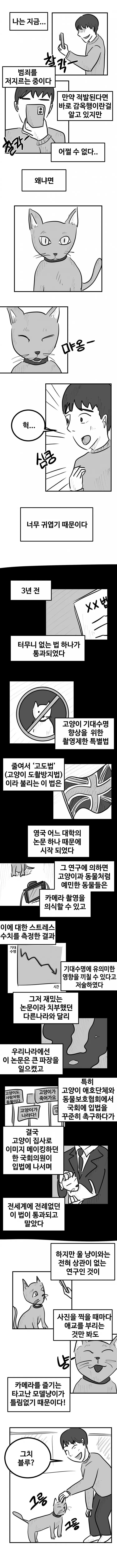 a65e15aa1806b3749bee9be458c12a3a54557c3592c14a8545f214c617