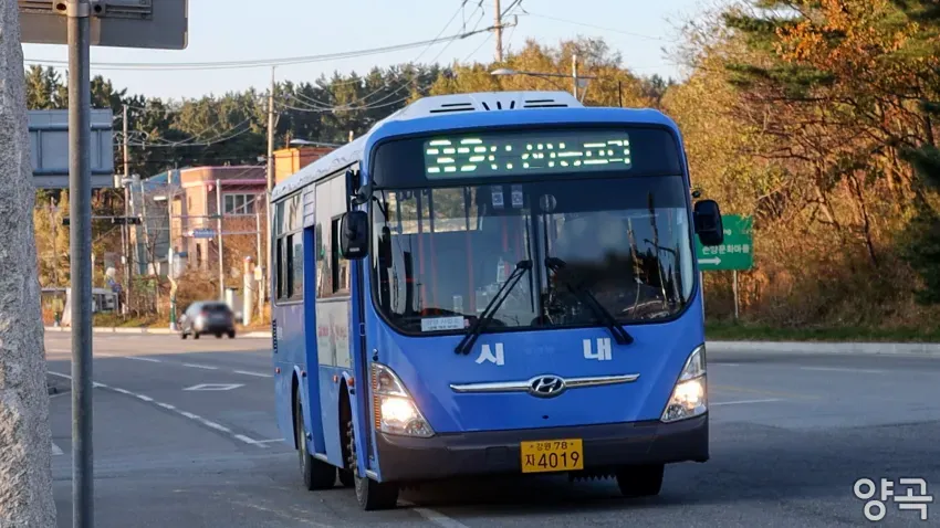 008bf919b5816cf720afd8b236ef203e8f06d985d26a78faef