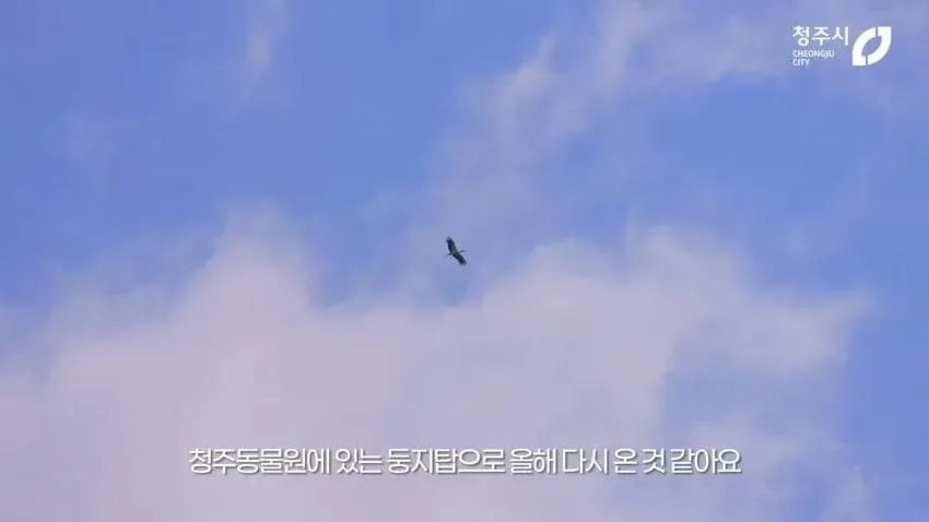 7ee5d323e3d66af236efd7b04788763c7c56b58e8a2f1b5e95002ad38364e0ebd8b8118f2a6decf1f8b60c7b447b834d6b551cef092212f4