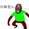 왔노
