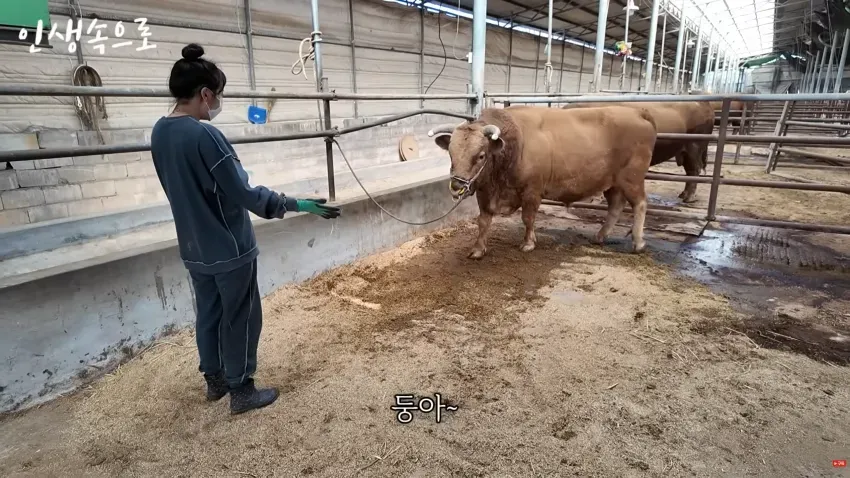 a15714ab041eb360be3335625e8474696ce80d37975e13bbdf6c68e640338315bc4f96
