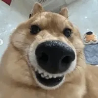 ์๋ฐ3 ์๋ฐ3