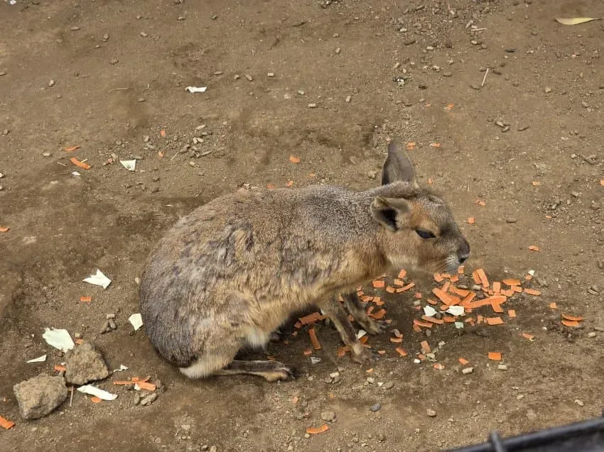 7fed8270b5866af651ee84e546847173b1388b9c50280197c769d30d251e8e6e