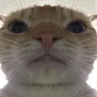 72