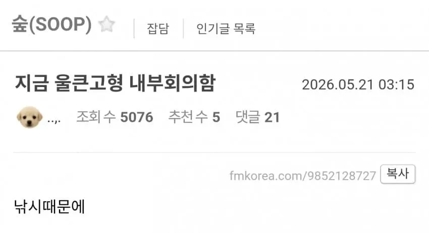썸네일
