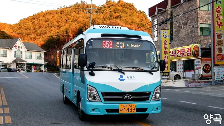 008bf919b5826cf320afd8b236ef203eb19be39c899bce8b3b