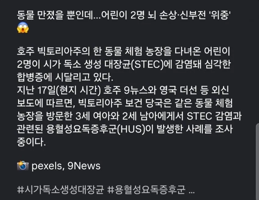 1ebec223e0dc2bae61abe9e74683727034f2a2364f1d87b252d2d5628bc9df85b14e45d7106d36808c2bbf468d8d14c6