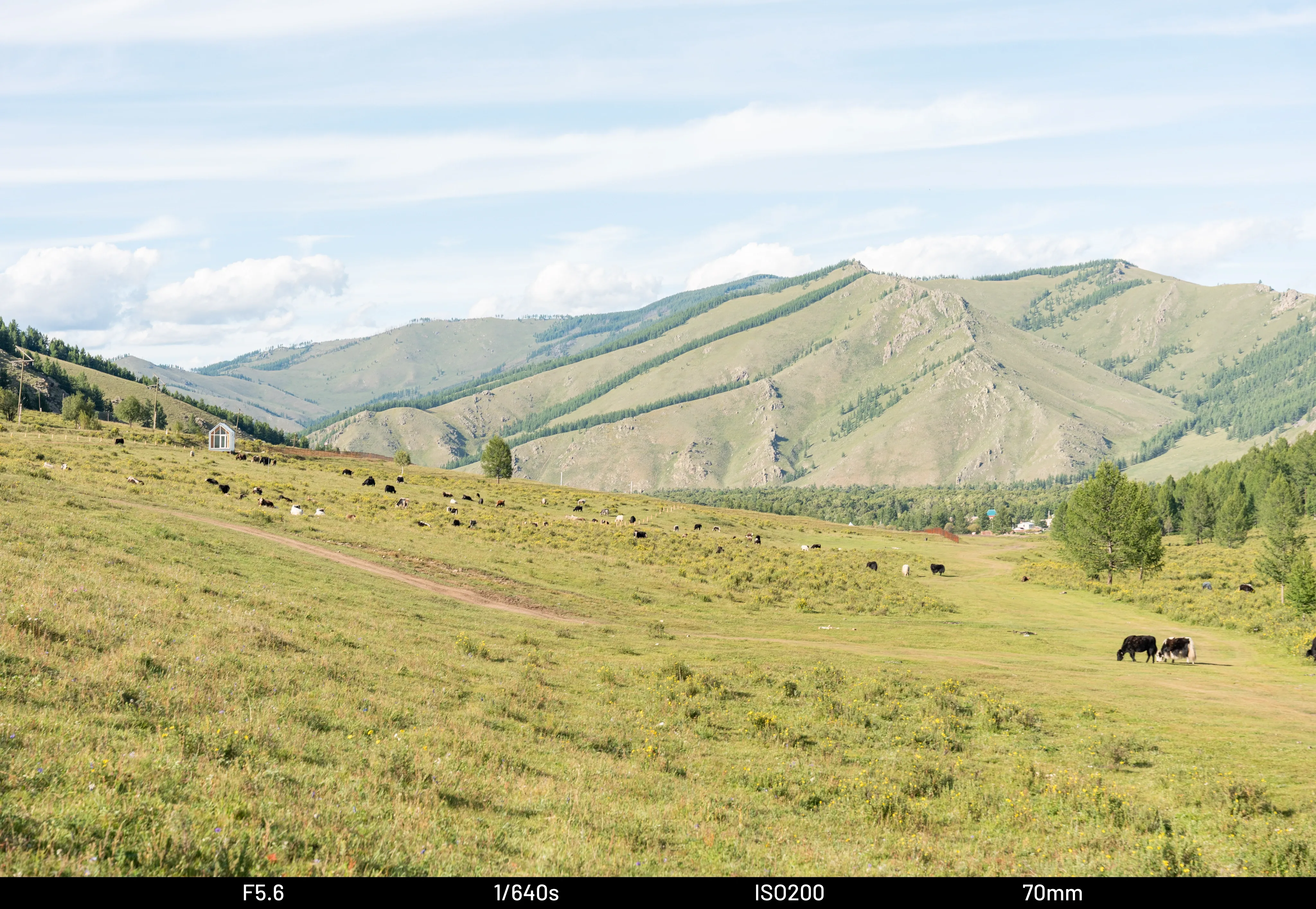 74aadf3ff2cb3d994a8cf5e54687776890bd16dd1e36579586e7e43de39b5b82bc731bc09a5e85