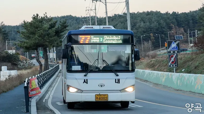 008bf919b5816ef620afd8b236ef203efae4d8e869f45bb920