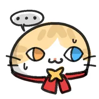 5 5