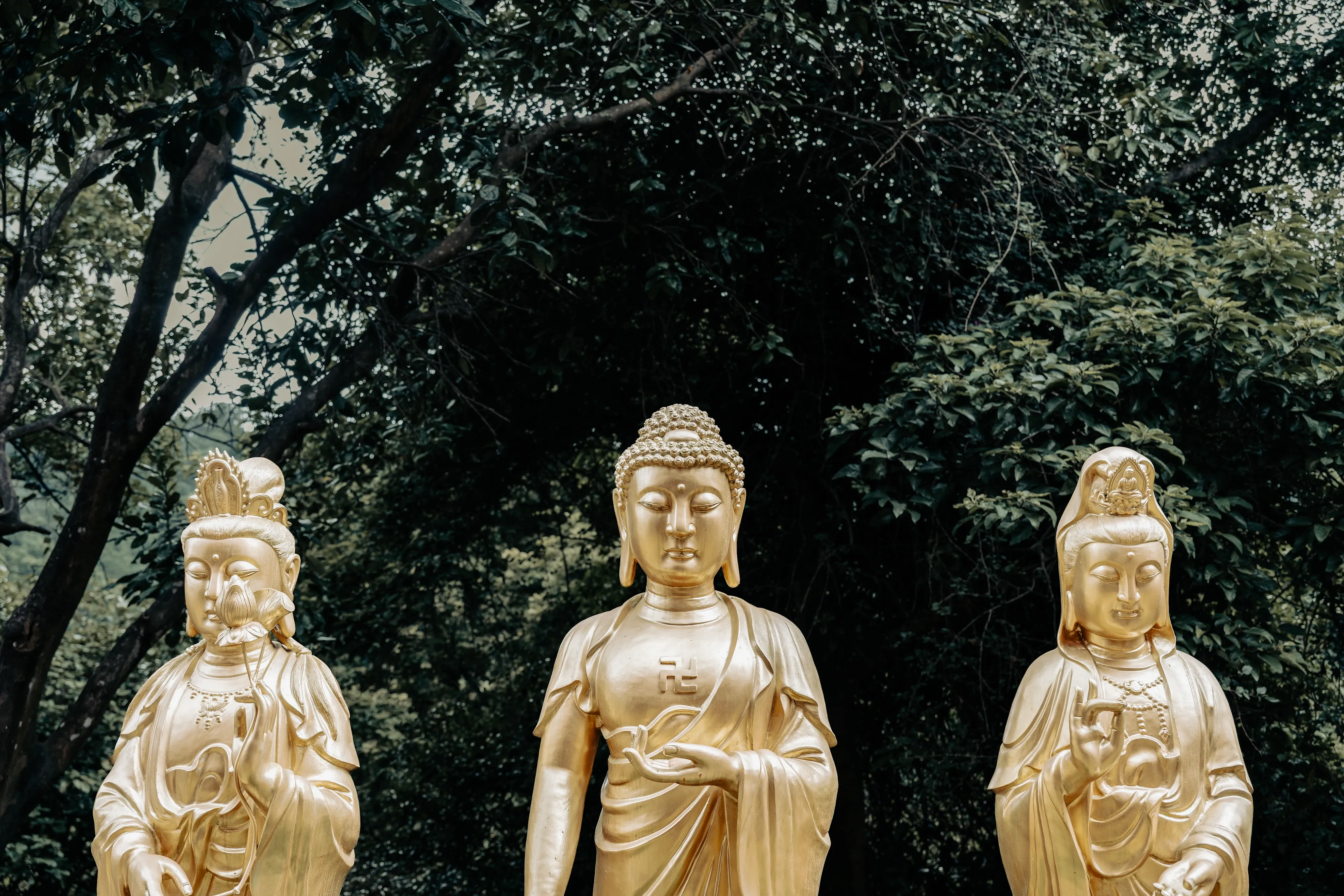 7f9ff602c4f06df423e883e14e9c706b8665caf7b528dbfed2e8fed0d21fa29094384fa603062d49acb7b909d66ef6dbe67146999dbf