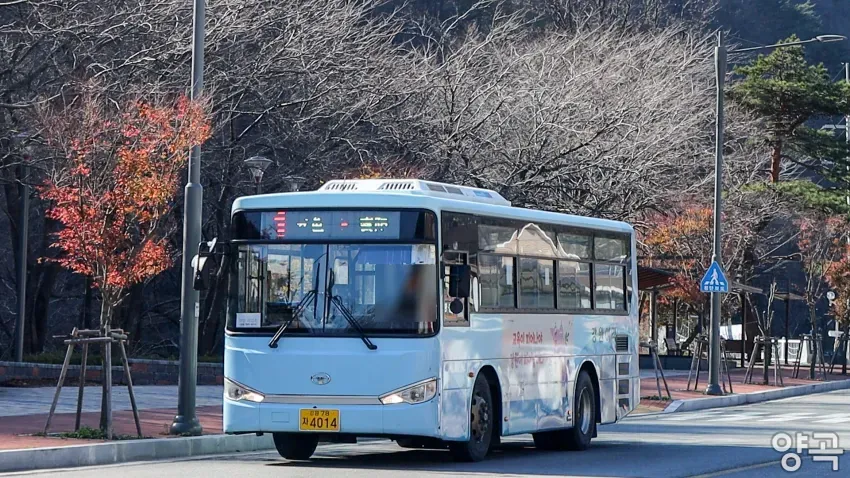008bf919b5806efe20afd8b236ef203eb4ff0ed0eda865a8b9