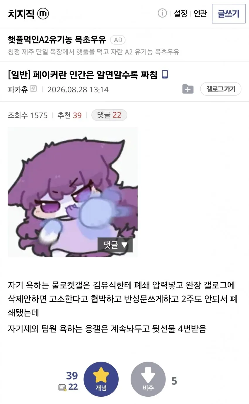 썸네일