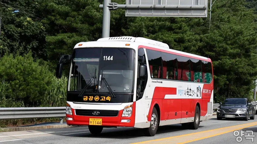 008bf919b58461f420afd8b236ef203edbe32ab4508ab8241f