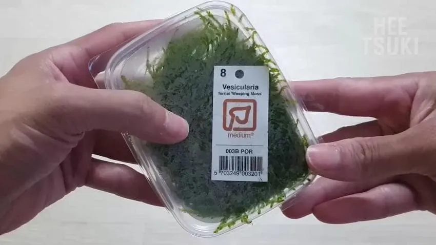 a17a21aa1222782da7545a72f291a8c314badf27b526b0305ee2667ae08a7c45a202befb7b328a0fc63f80150e72b80cf378bab446696209053fb00abebccd2028a92531df8d26c8605238293568cc36efd23be65ce54f23610a6e9aaf8b6a5b341d54905b48b6