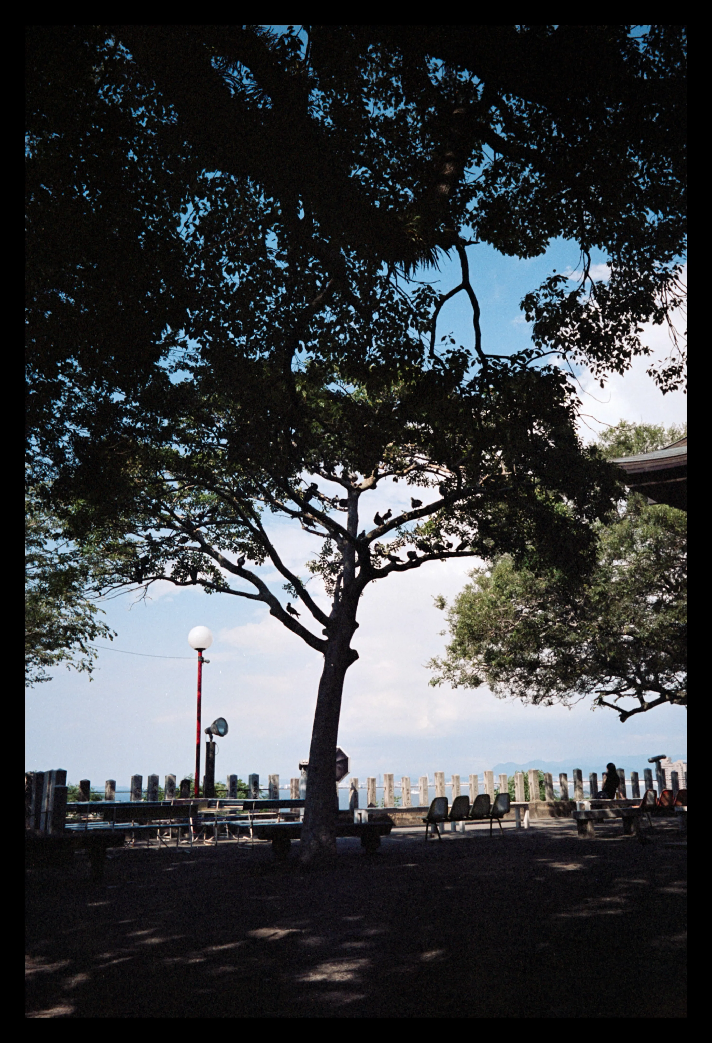 0ce48571b5816ff723ea80e3349c70184d5a6aa5dd288c9ab72505e6b91aacb88c448ef7ba5b1465dfb900b3540f6992bb3cf288dee6