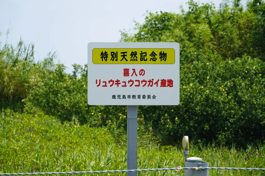 7e99e305b5836df53ff1c6bb11f11a3975fd279034c26f970111