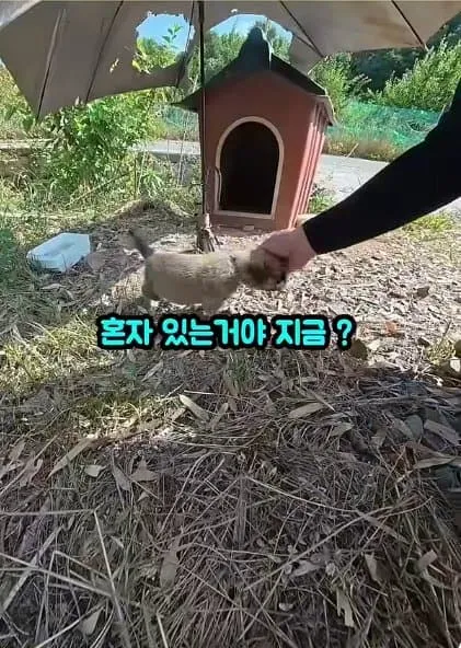 06f0827eb5866ce864afd19528d52703ef39e21d88cca0
