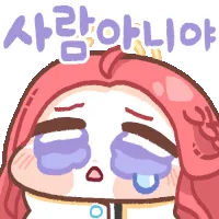 46 46
