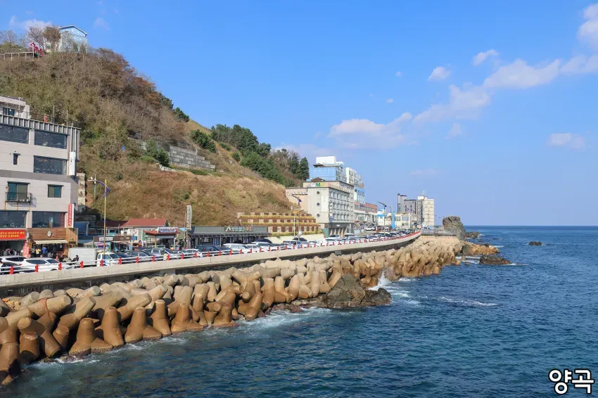 0490f719b5836ef720afd8b236ef203e26544bc75793aa164856