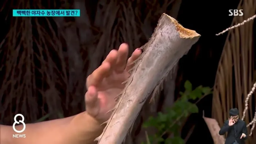 28b9d932da836ffe39e882e04f81716a7a9313e682809d2f84688049270de3d504ab