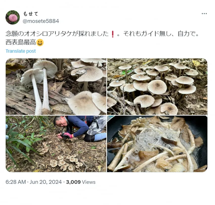 7cea8977b0876df23eef98bf06d60403ed0a3d03e0fd2cce112b