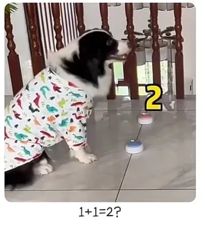 06f08273b68660e864afd19528d527036c181300317e36