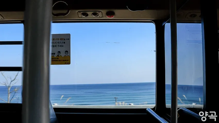 008bf919b58260f220afd8b236ef203ea9e45860c21e58d2a6
