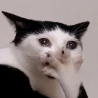 입틀막