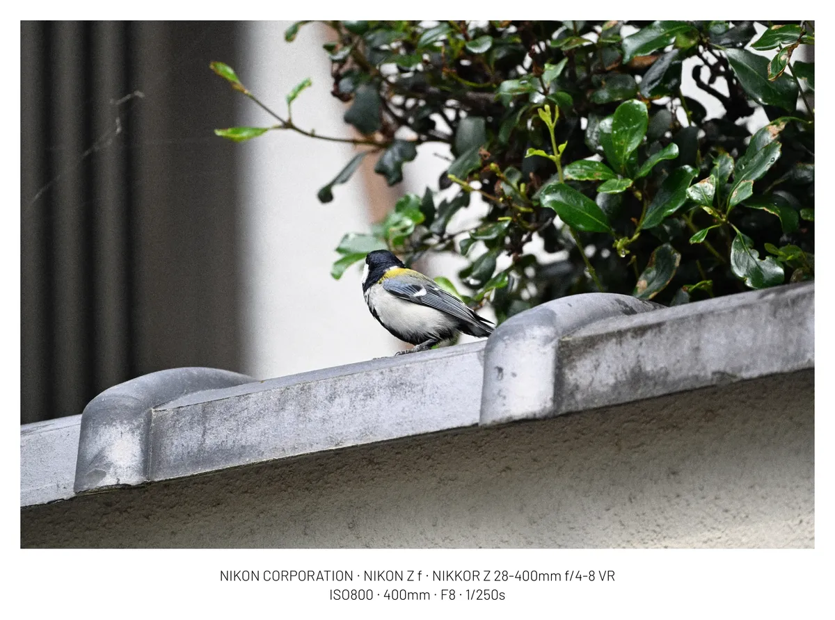 0490f719b18a6cf620a8d3b706f11a39206e78e7889973e68915