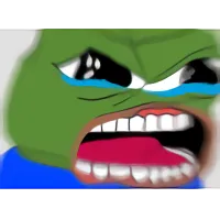 64 64