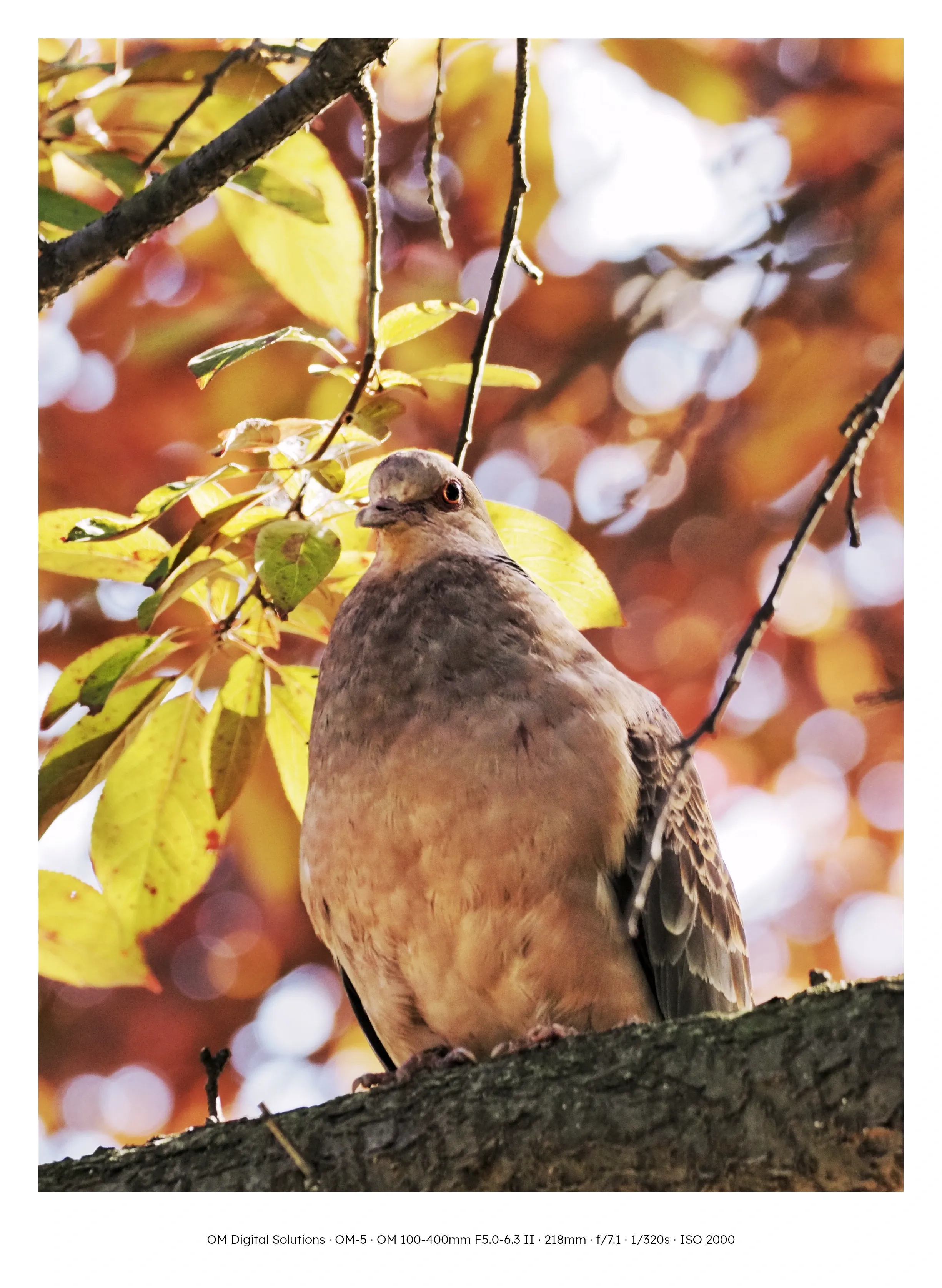 29b4d72ff1d334b667bcc2a004d4696f7d2a451b73816201b50fb10d57f635d72e6d963169cb13133251f184300088caf5f8f840