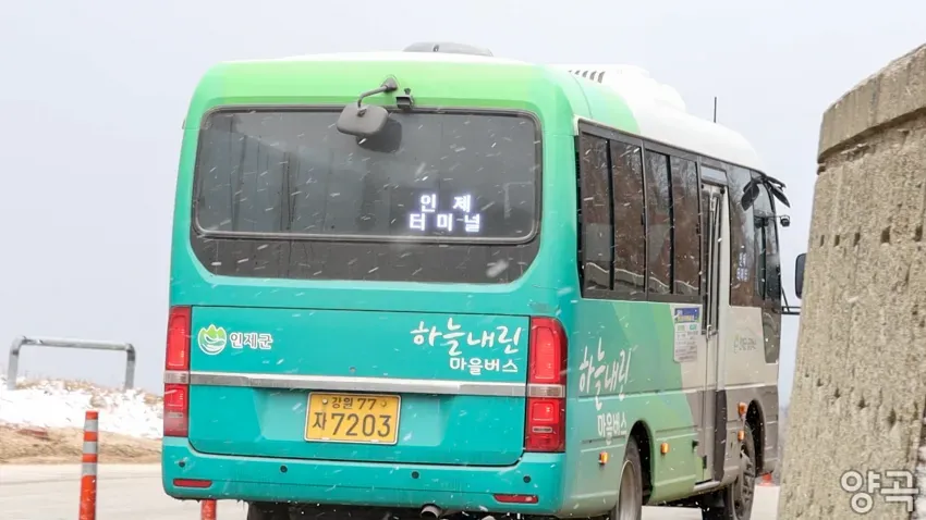 008bf919b5836af720afd8b236ef203edb1b6239035d5b4481