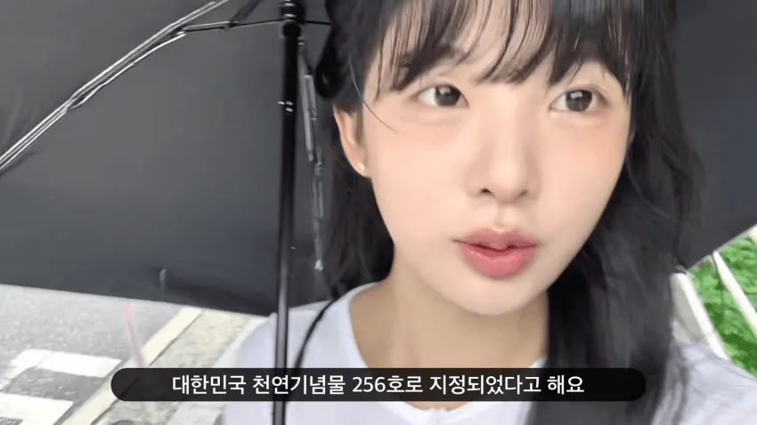 a15714ab041eb360be3335625e827d65ba46eb46f0421f6dfe2735ff4b9bdae20135ac