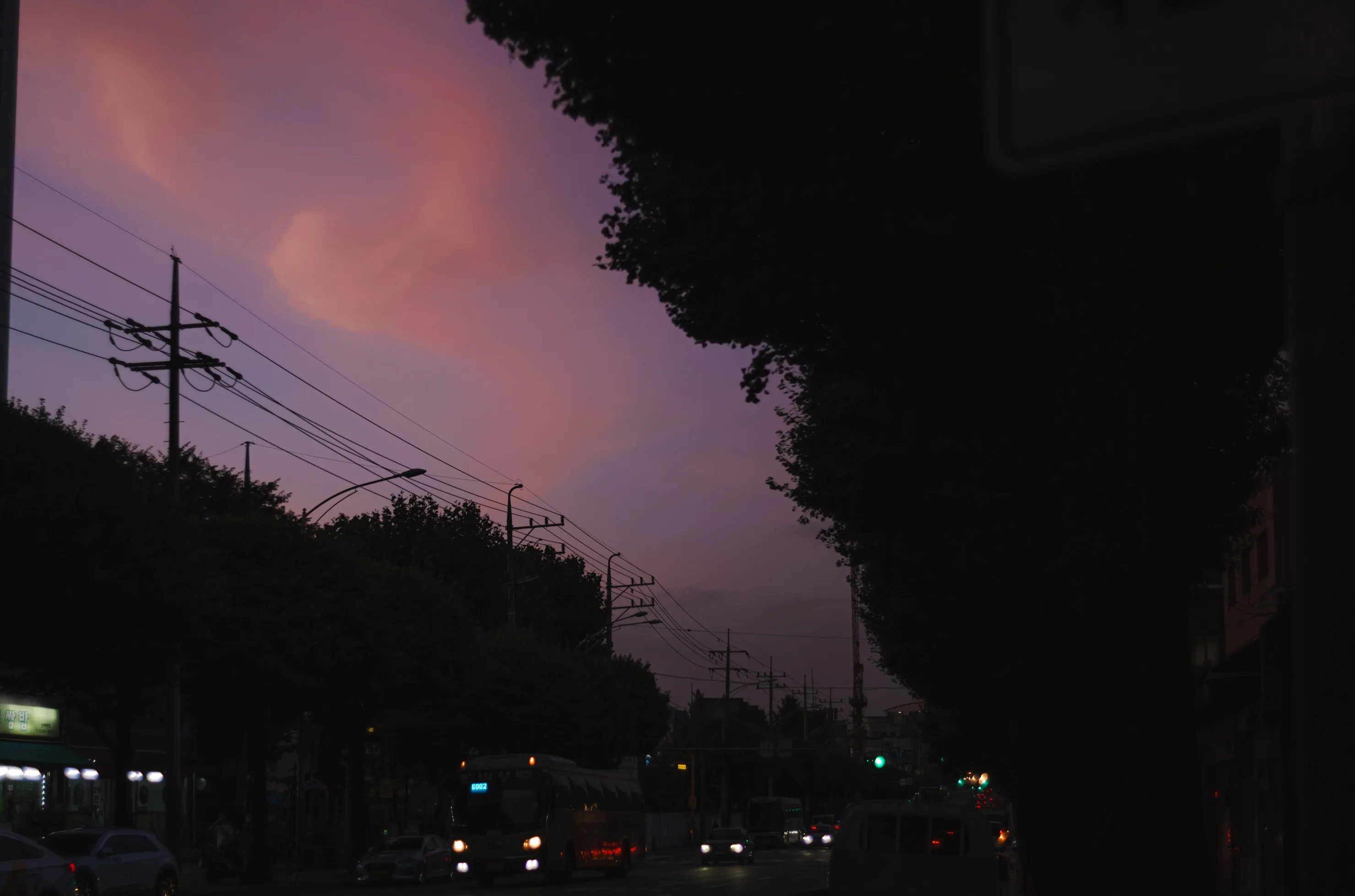 01ec8076b3806af120b5c6b011f11a39f584d083ed0848f7c4e4