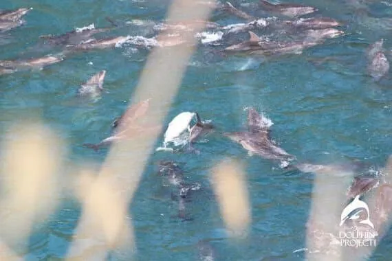 78ed8875da8a6af6378084e544877465b7959ca76883d728559943266222ad95c3530ad87f3ea8e117