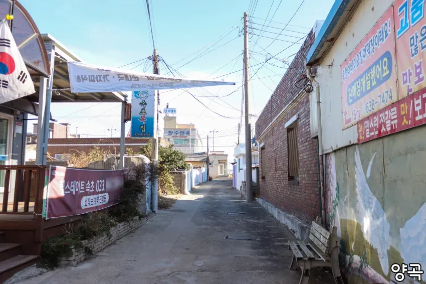 viewimage.php?id=23bcdd33e7c72bb56fb5dfbb&no=24b0d769e1d32ca73de784fa1bd8233c4a8b62ccaa7d7d8900f8766dfee6c9d205059f12ebb22b24e93f3e3211c60a80272b75d66e33f4f4bf0db3441a7bb2a98e57de71c32114f3b8